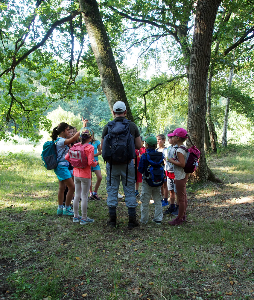 draußen mit ingo: Umweltbildung - Ferienprogramm - Waldpädagogik