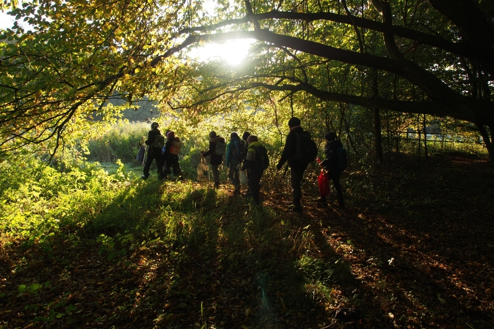 draußen mit ingo: Ferienprogramm - Im Herbstwald