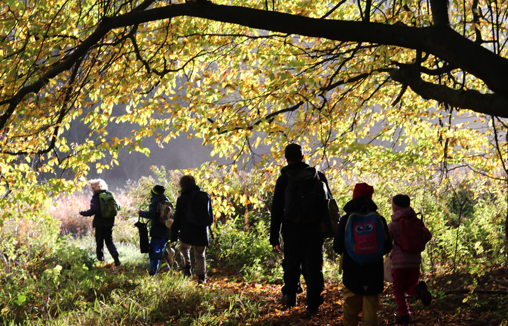 draußen mit ingo: Ferienprogramm - Kunterbunte Herbstnatur 2025 draußen mit ingo: Ferienprogramm - Kunterbunte Herbstnatur 2025